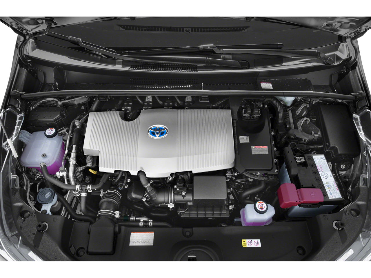 2019 Toyota Prius XLE