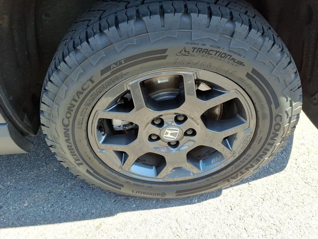 2025 Honda Pilot TrailSport